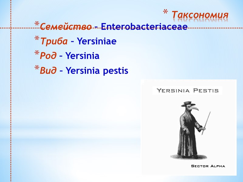 Таксономия Семейство – Enterobacteriaceae Триба – Yersiniae Род – Yersinia Вид – Yersinia pestis